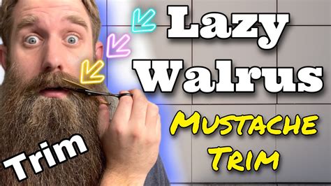 lazy walrus mustache